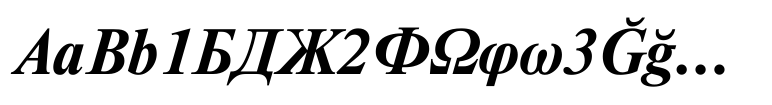 Newton Bold Italic