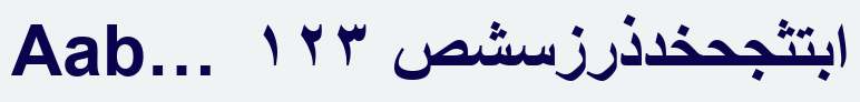 Arial® Arabic Bold