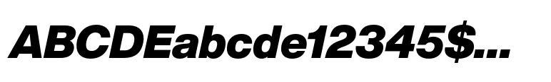 Helvetica® Now Display Black Italic