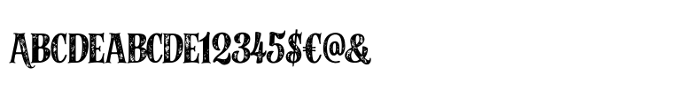 Alfons Serif Bold 2 Printed
