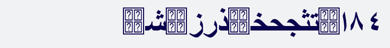 Arabic Transparent Bold