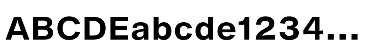 Helvetica Now® Micro Bold