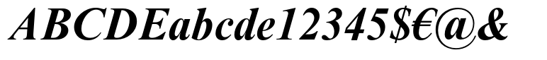 Times New Roman® Bold Italic
