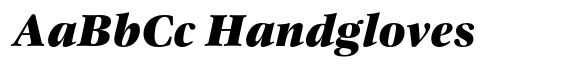Caprano Black Italic image