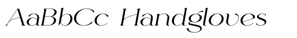 Rowan Wider 3 Italic image