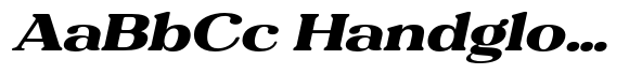 Refagio Black Expanded Italic image