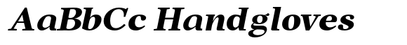 New Prairie Bold Italic image
