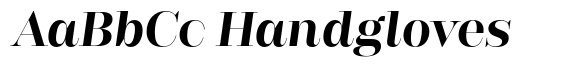 Rigor Ionic Display Pro Bold Italic image