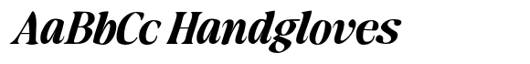 Makers Serif Italic image