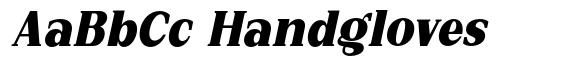 New Bight Extra Black Italic image