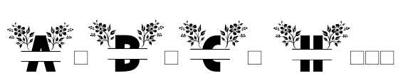 Beautiful Spring Flowers Monogram font sample