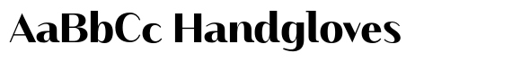 Finico Sans Heavy image