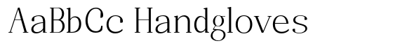Randion Serif Family Randion Serif Light image