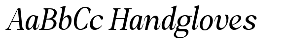 Amnesist Expanded Italic image