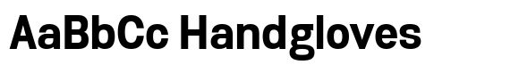 Biarty Sans Bold image