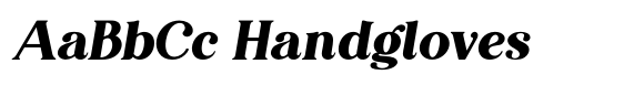 Editorial Revival Heavy Italic image