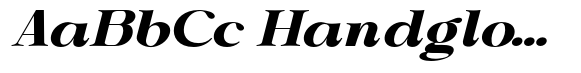 Shiffont Serif Black Expanded Italic image