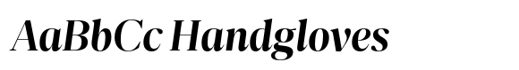 Nitida Display Bold Italic image
