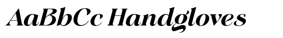 Gerstein Extra Bold Italic image
