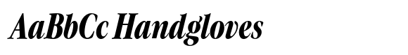 Evoque Condensed Bold Italic image