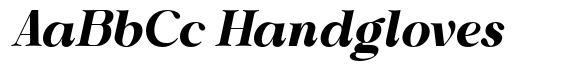 Shiffont Serif Black Italic image