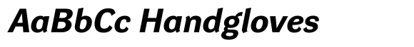 DynaGrotesk Expanded Bold Italic image