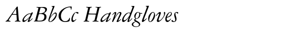 Garamond DT Italic image