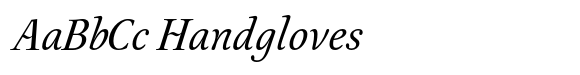 Australis Pro Italic image
