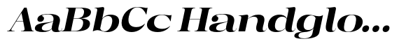 Regaris Plain Black Expanded Italic image