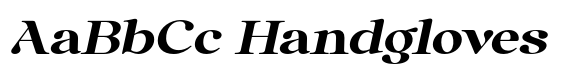 Anglica Serif Black Extra Expa Slanted image