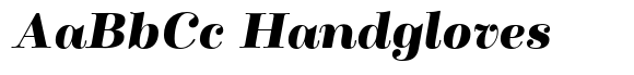 Winslow Title Black Italic image