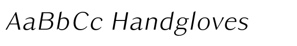 Owning Sans Light Slanted image