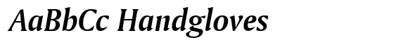 Amerigo CE Bold Italic image