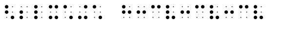 PIXymbols BrailleReader Italic image