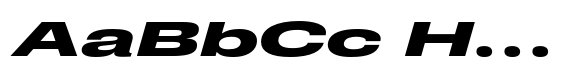 Pragmatica Next Wide Extra Bold Slanted image
