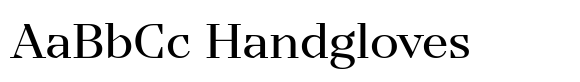 TT Nooks Serif Medium image