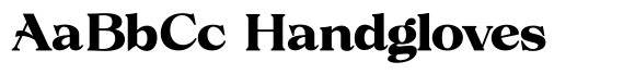 Volkys Serif Volkys Contrast Bold image