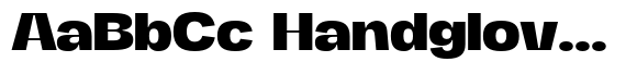FX Regant Bold Expanded image