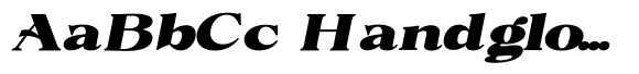 Volkys Serif Volkys Contrast Black Expanded Italic image