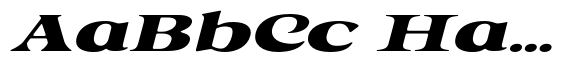 Astone Nisam Italic Soft Expanded Italic image