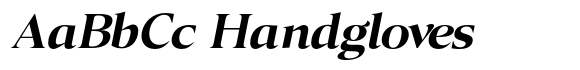Canto Bold Italic image