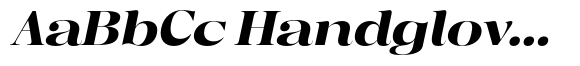 Regaris Plain Black Semi Expanded Italic image