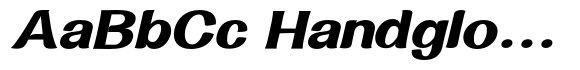 Promina Italic Expanded image