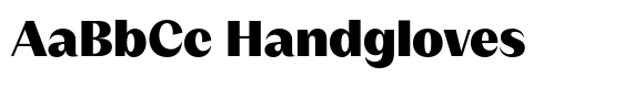 Version T Black image