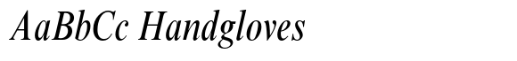 Times New Roman Pro Condensed Italic image