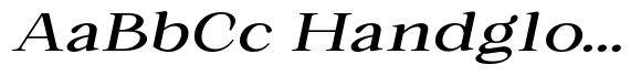 Romantic Editorial Medium Expanded Slanted image
