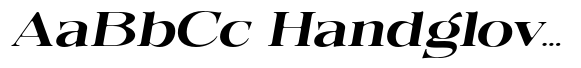 Quarter Theory Sf Extra Expanded Italic image