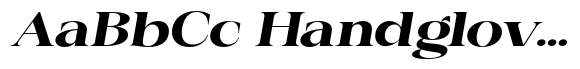 Audie Serif Expanded Italic image