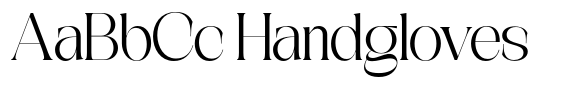 CKR Serif Regular image