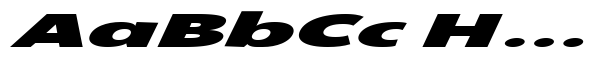 Koldnesy Black Italic Ultra Expanded image